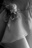 IMG_9550 copy