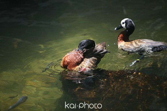 IMG_8772