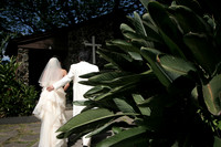 IMG_0742