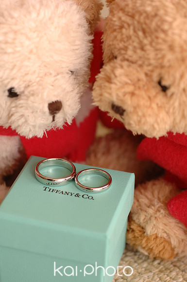 T&N0026