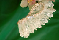 H_C0011