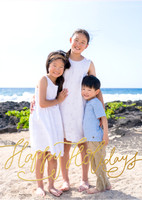 5x7 Vertical Foil Card Holiday Scrawl