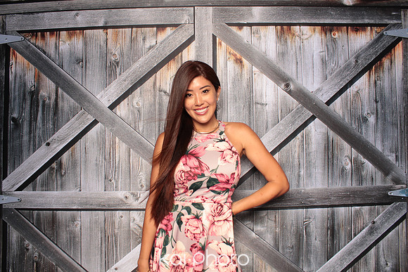Barn Door 1